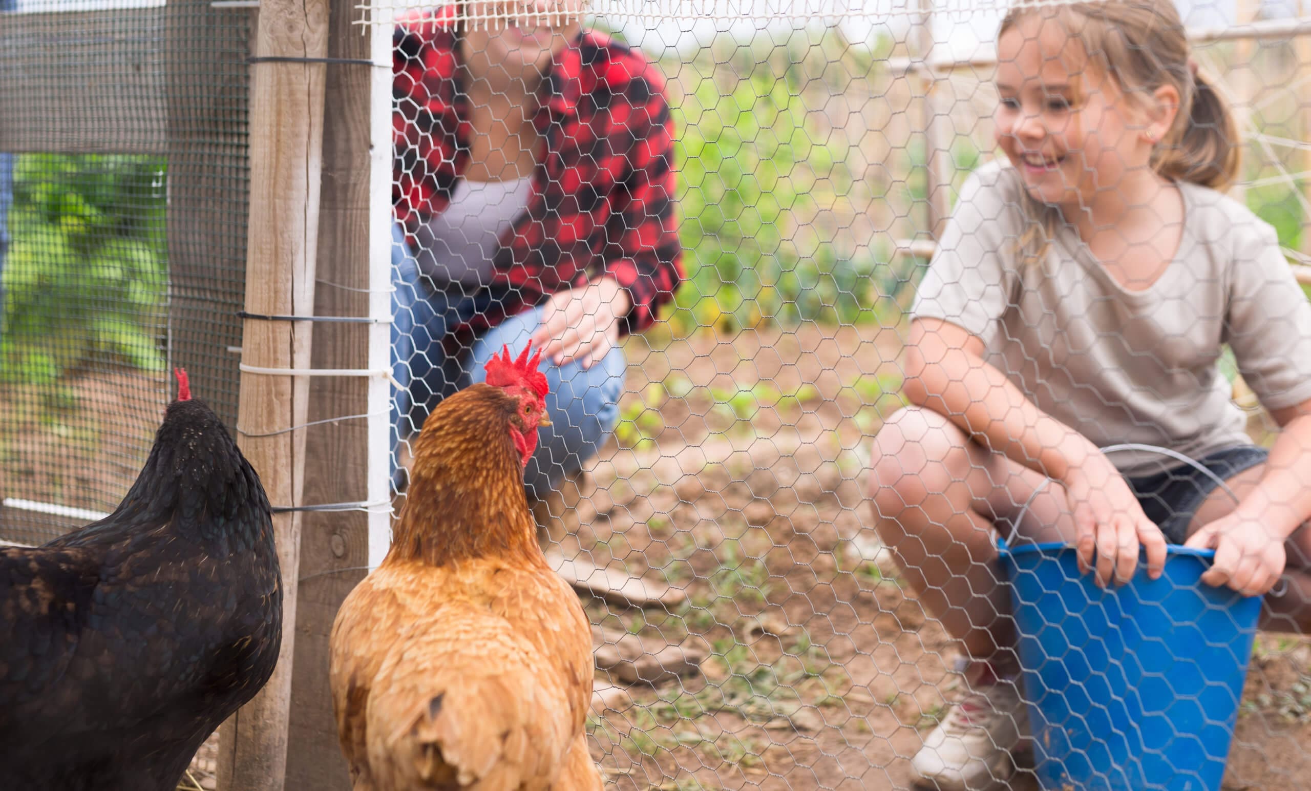 Avian influenza