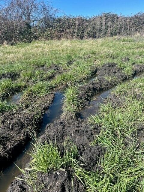 ruts