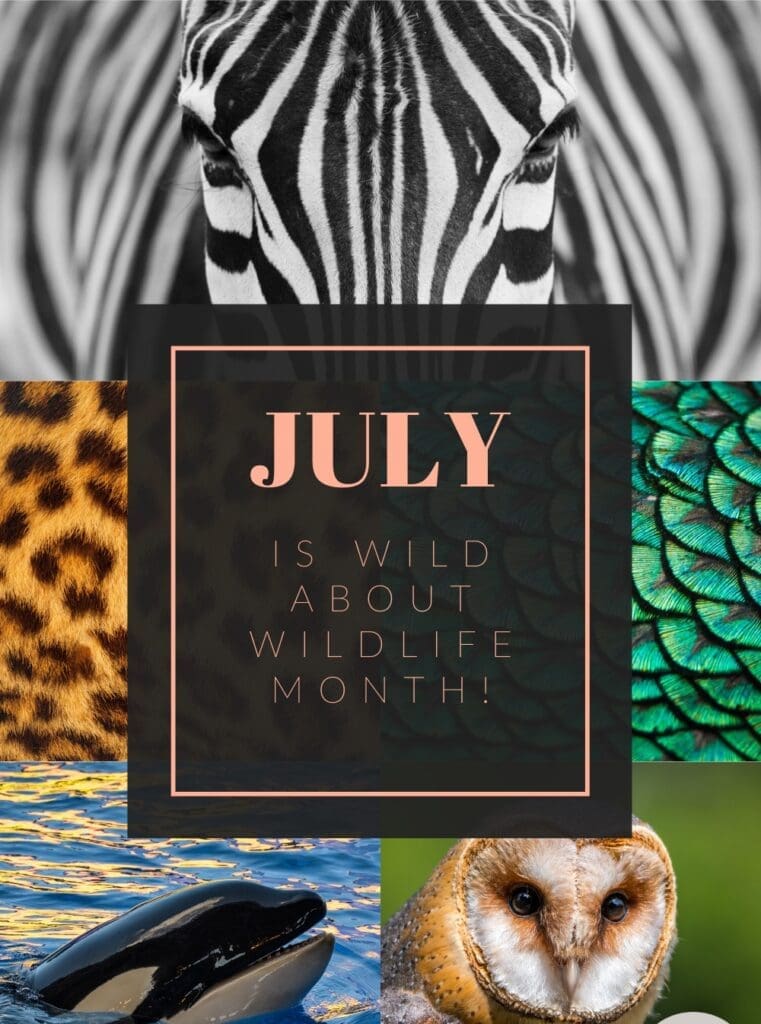 National wild about wildlife month
