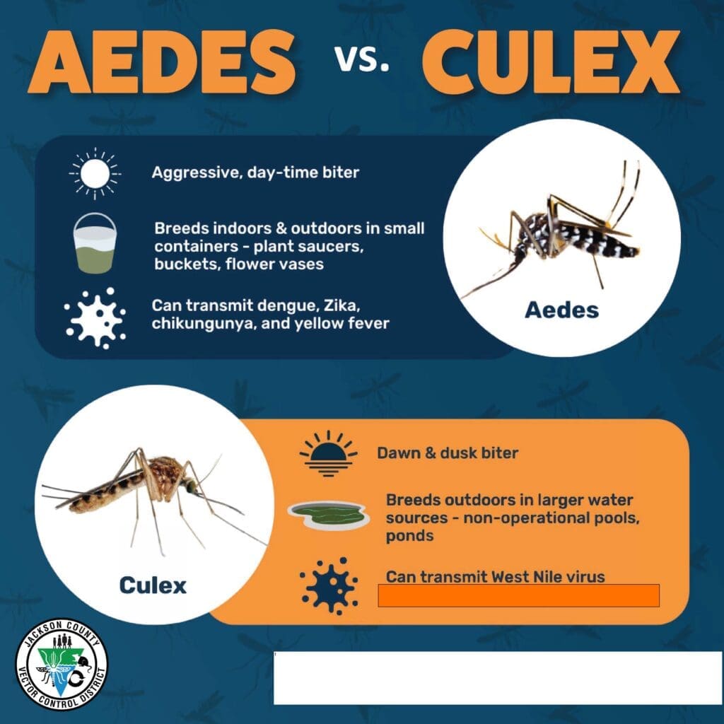 2024 NMCAW_Aedes vs Culex_ENG