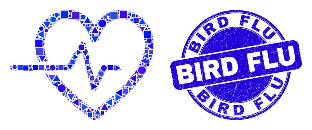 Geometric heart pulse mosaic icon and Bird Flu seal stamp. Blue vector round distress stamp with Bird Flu title. Abstract mosaic of heart pulse combined of sphere, tringle, square geometric spots.