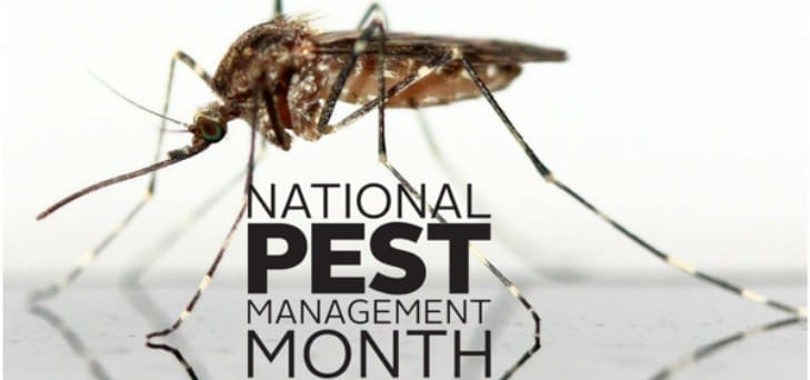 pest management month