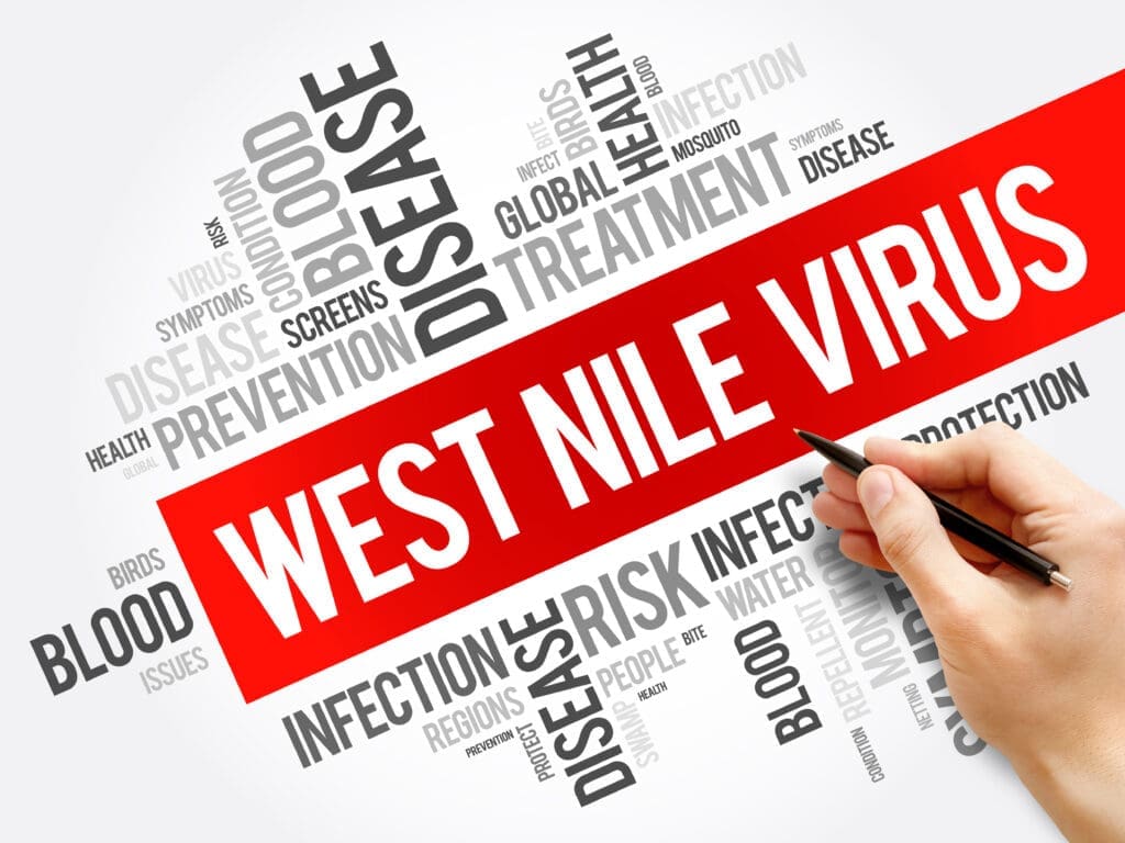 West Nile Virus word cloud collage, health concept background