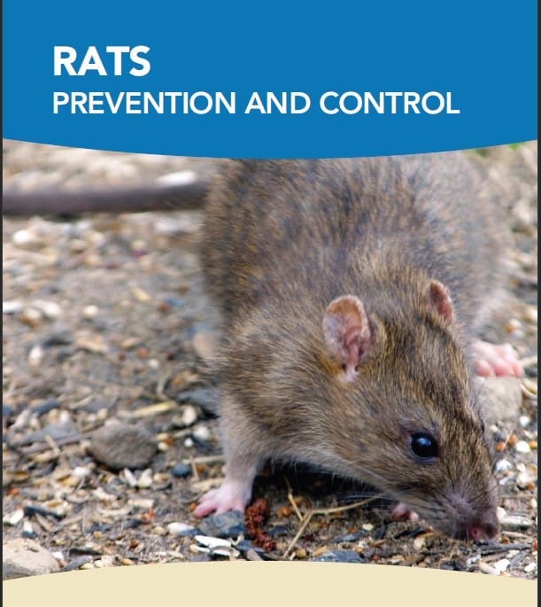 Rat Prevention