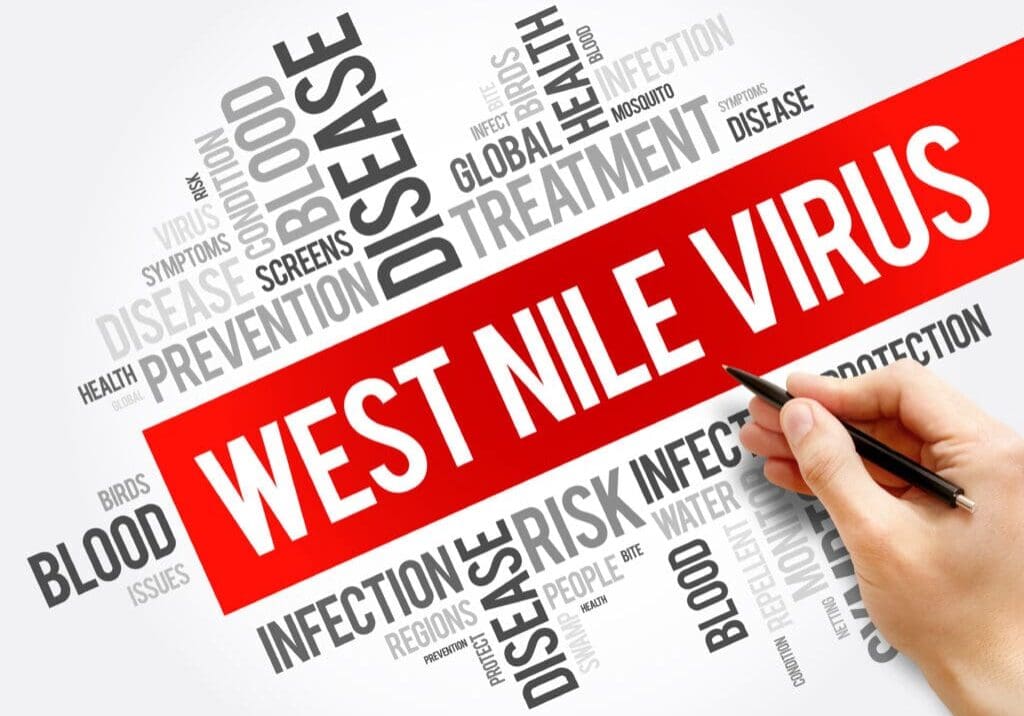 West Nile Virus word cloud collage, health concept background