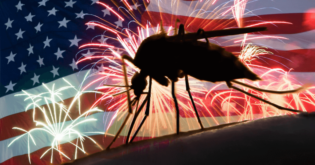 fire work mosquitoes