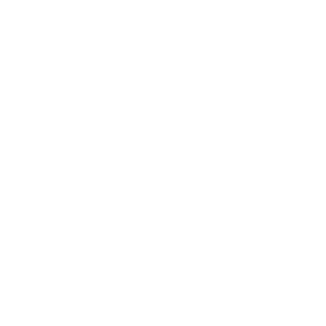 mosquito