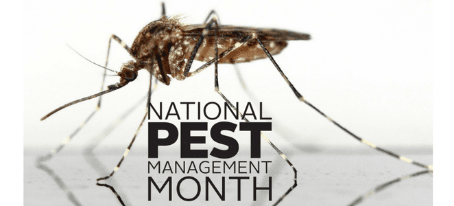 pest management