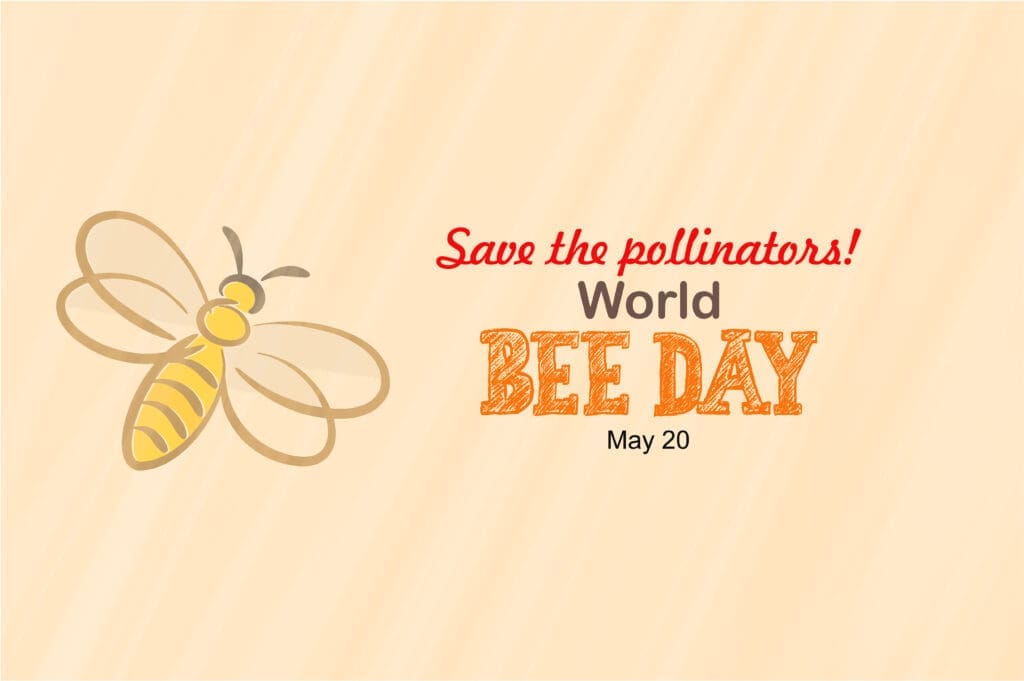 Save the pollinators. World Bee Day, May 20 Banner. Flat bee and typography background. Cute bee image.