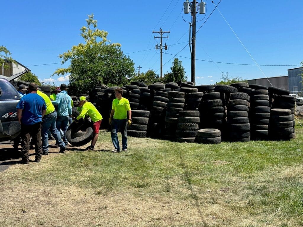 2023 tire