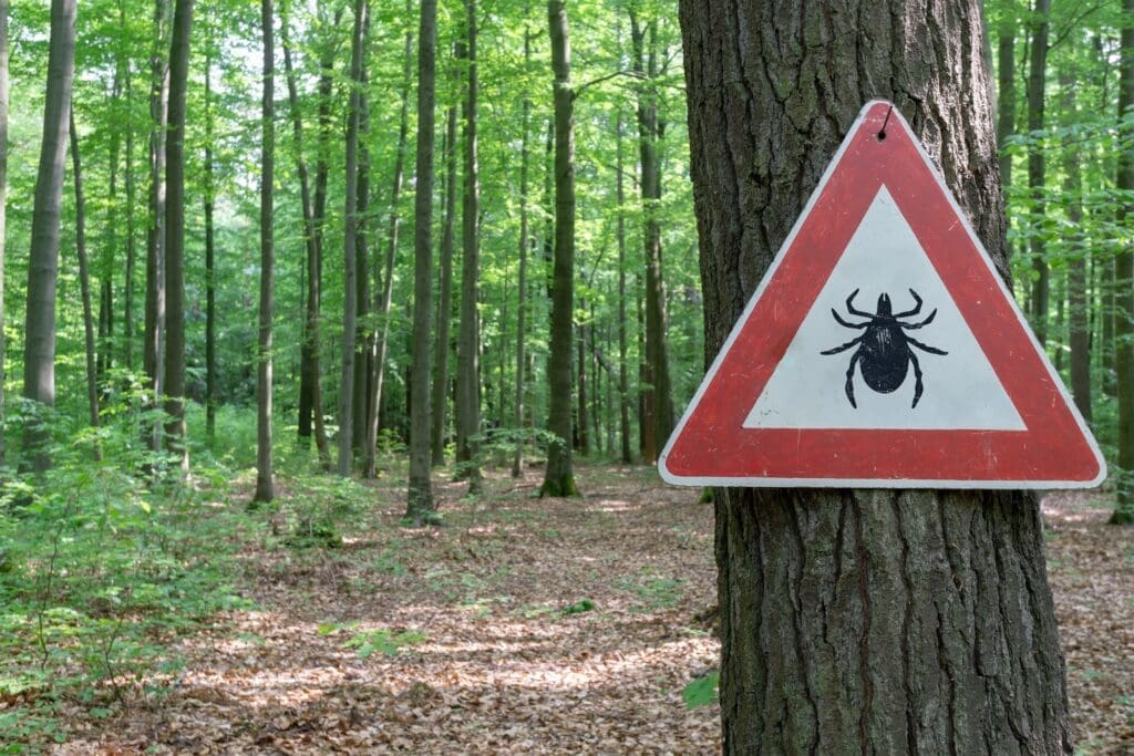 JCVCD Tick Warning