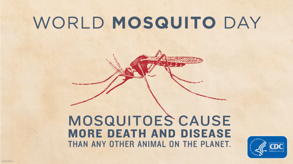 21_325019A_Silver_WorldMosquitoDay_NoDate_1920x1080