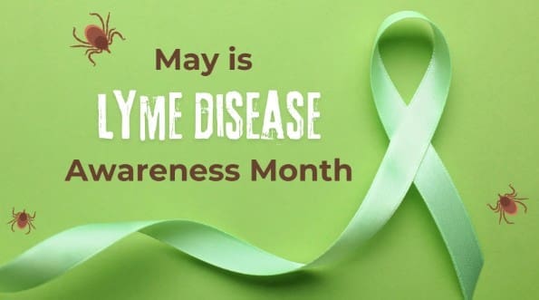 lyme