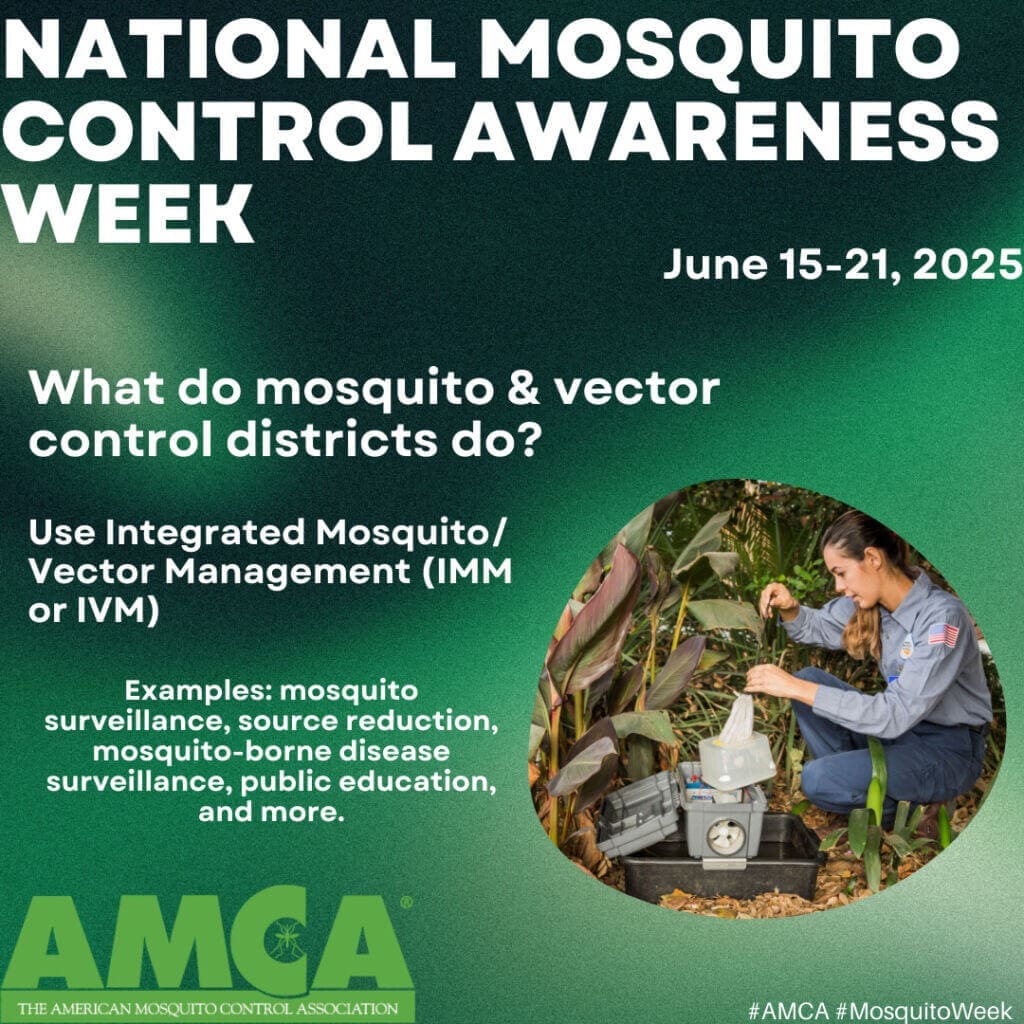 2025 Mos week Vector