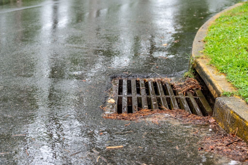 Metal storm drain during a rain event with leaves and needles starting to buildup around the edges. High quality photo