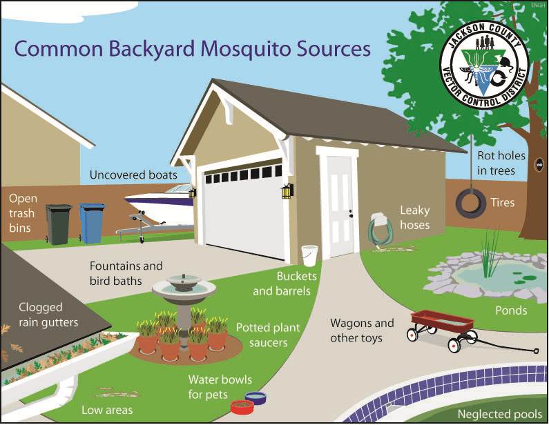 backyard mosq sources