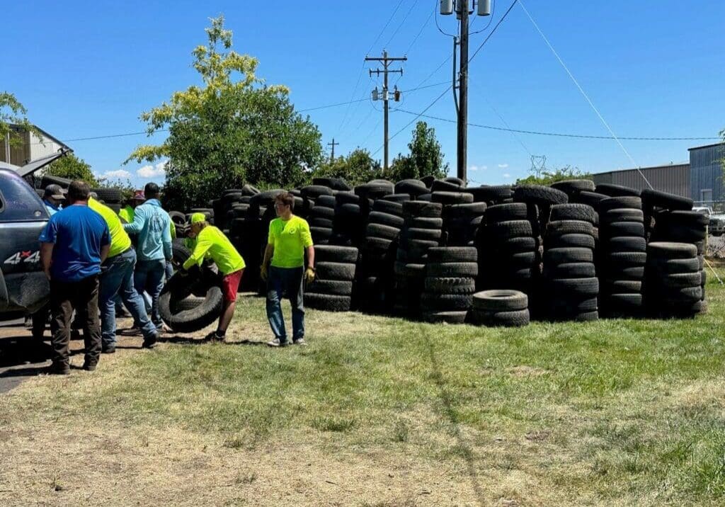 2023 tire