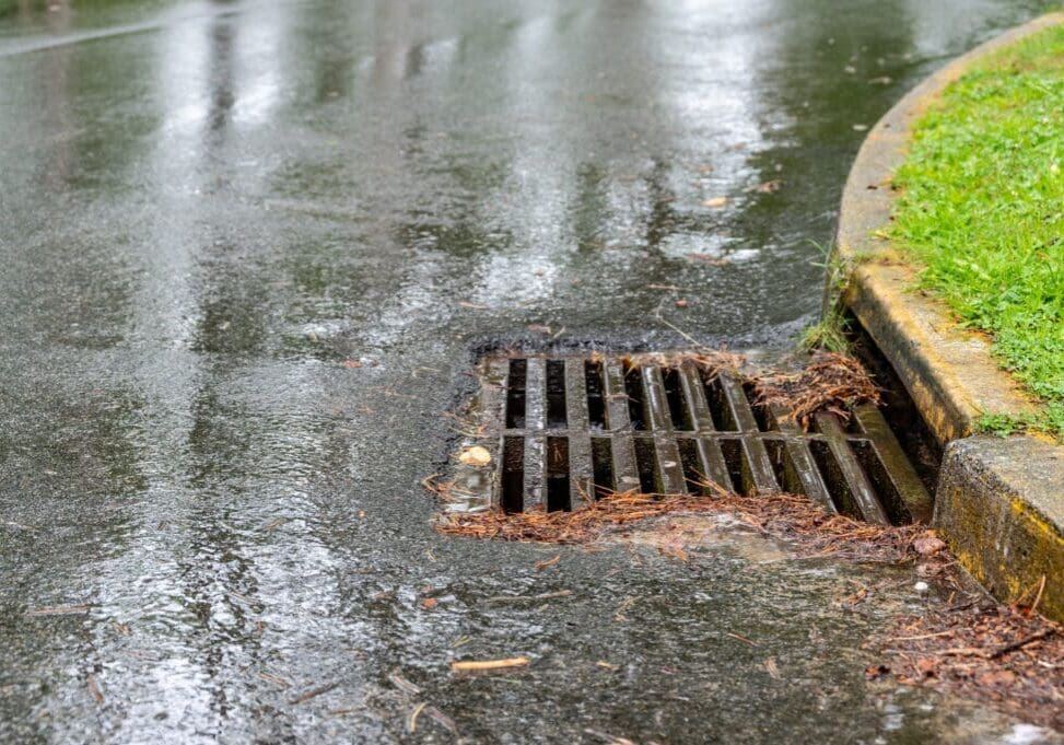 Metal storm drain during a rain event with leaves and needles starting to buildup around the edges. High quality photo