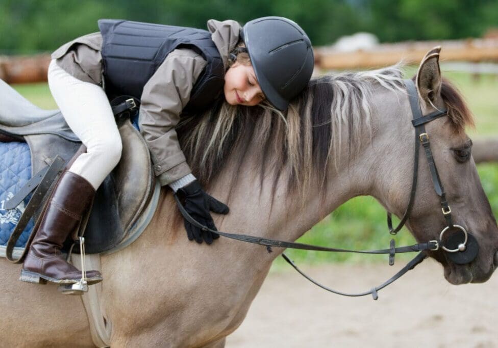 Horse riding - lovely equestrian on a horse
