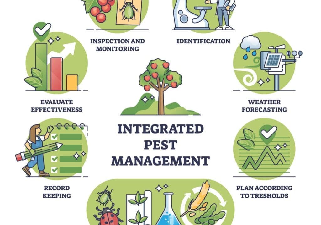 Integrated pest management as sustainable crop protection outline diagram. Labeled scheme with nature friendly mechanical, biological, chemical or cultural plant control approach vector illustration.