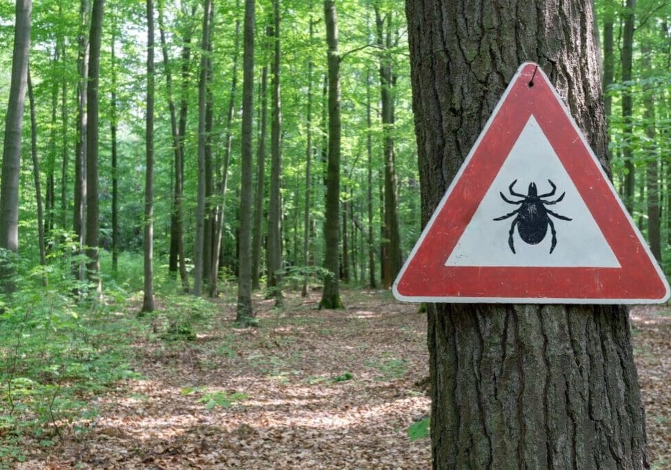 JCVCD Tick Warning