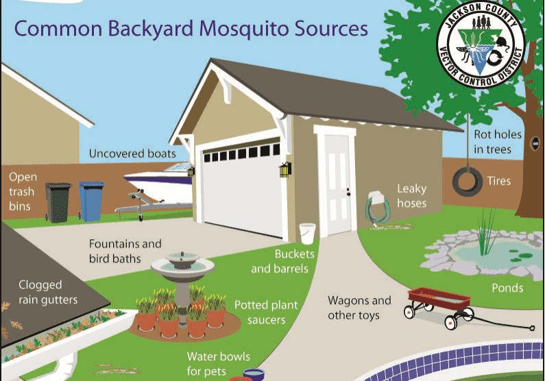 backyard mosq sources