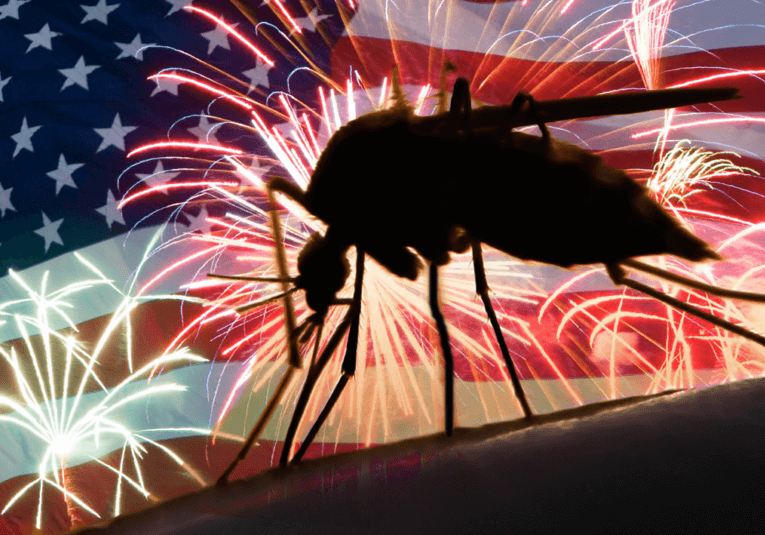 fire work mosquitoes