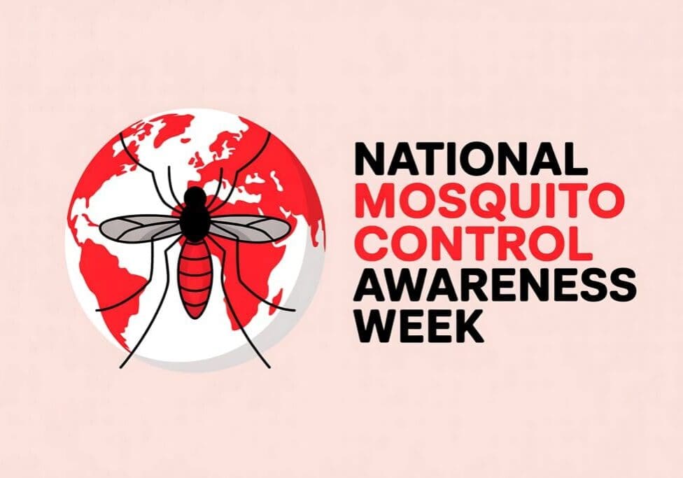 Illustration for national mosquito control awareness week with a mosquito on a globe